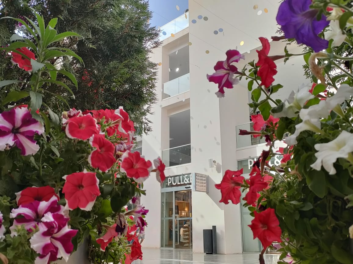 Garden City - Photo 5